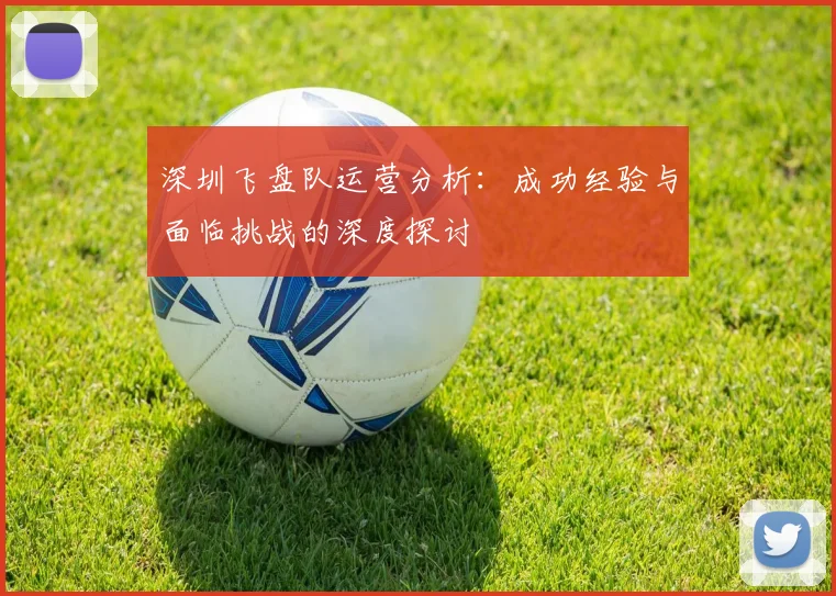 深圳飞盘队运营分析：成功经验与面临挑战的深度探讨