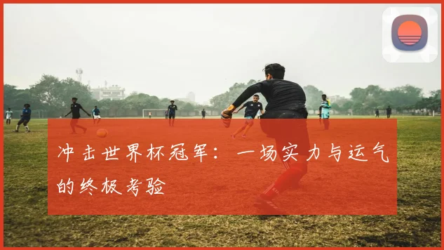 冲击世界杯冠军：一场实力与运气的终极考验